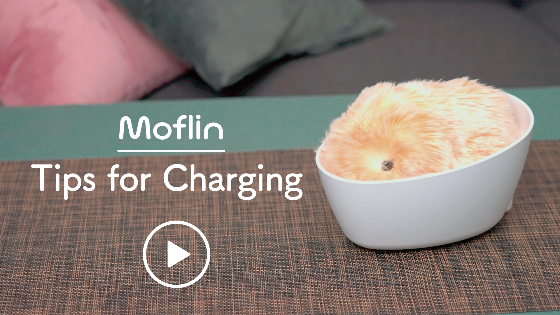 moflin_video_thumb EN